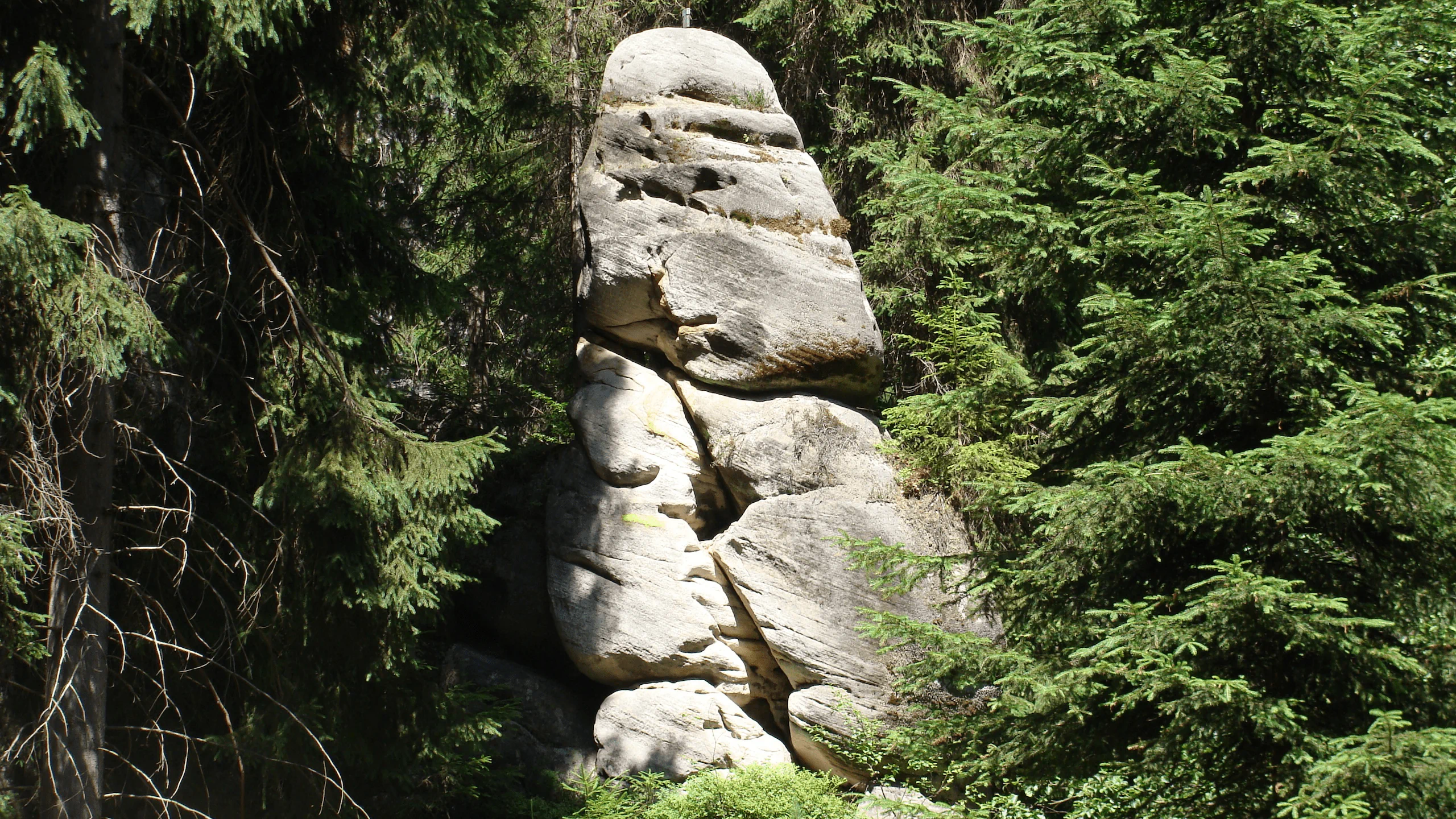 Zdjęcie