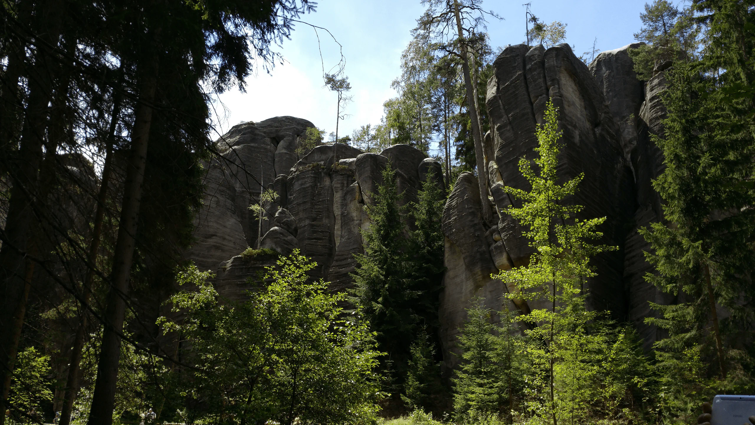 Zdjęcie