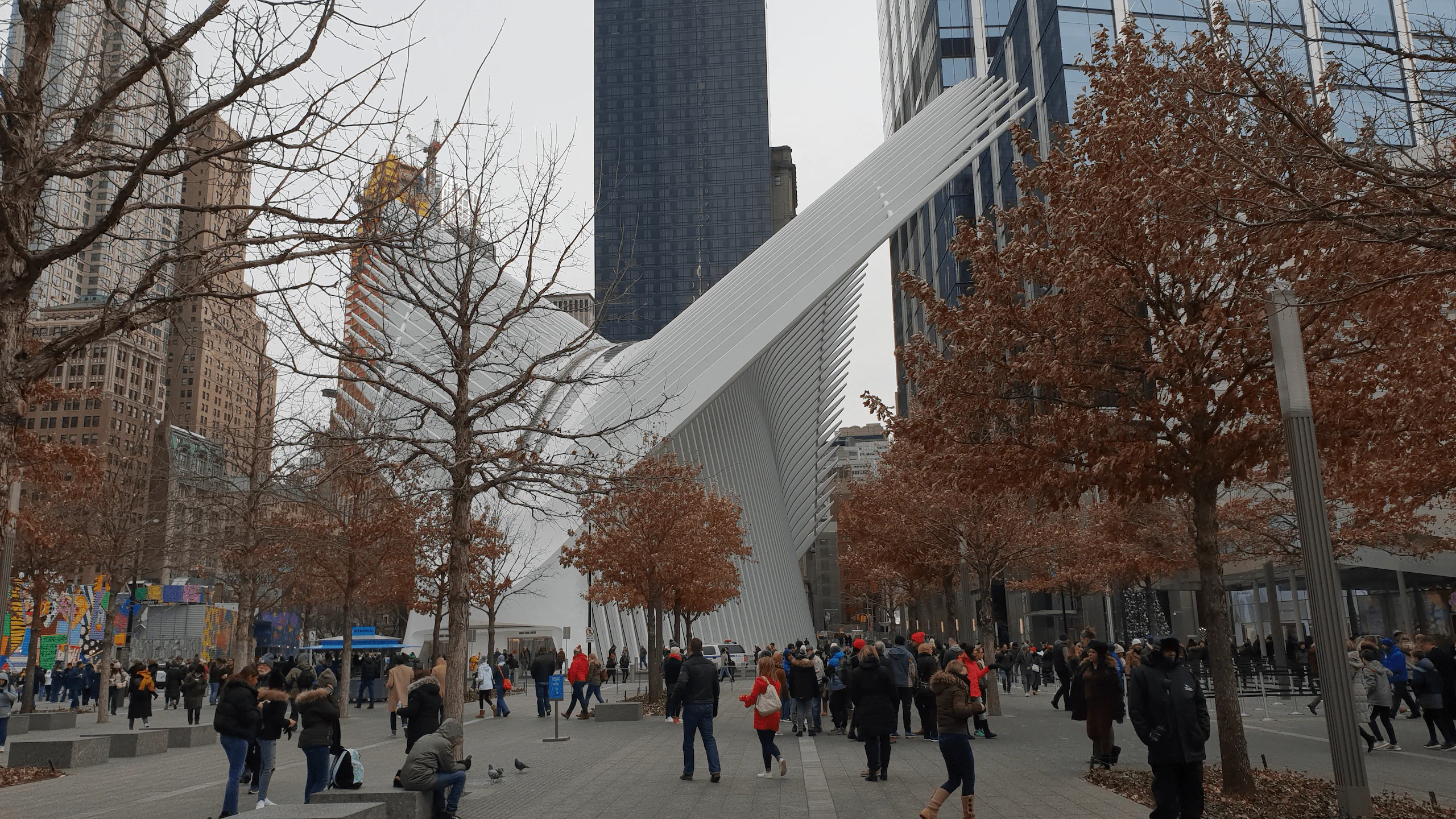 Oculus